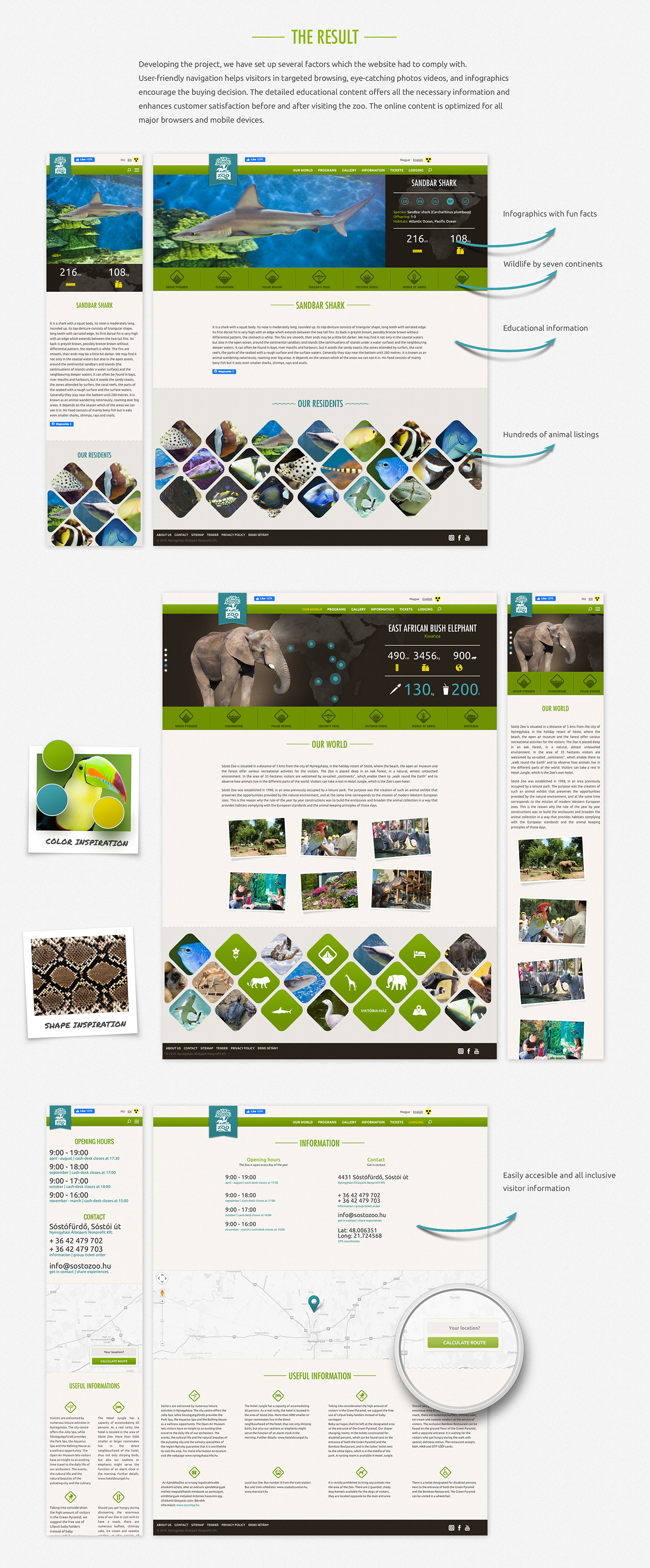 art direction  design Interaction design  Webdesign Website ux zoo