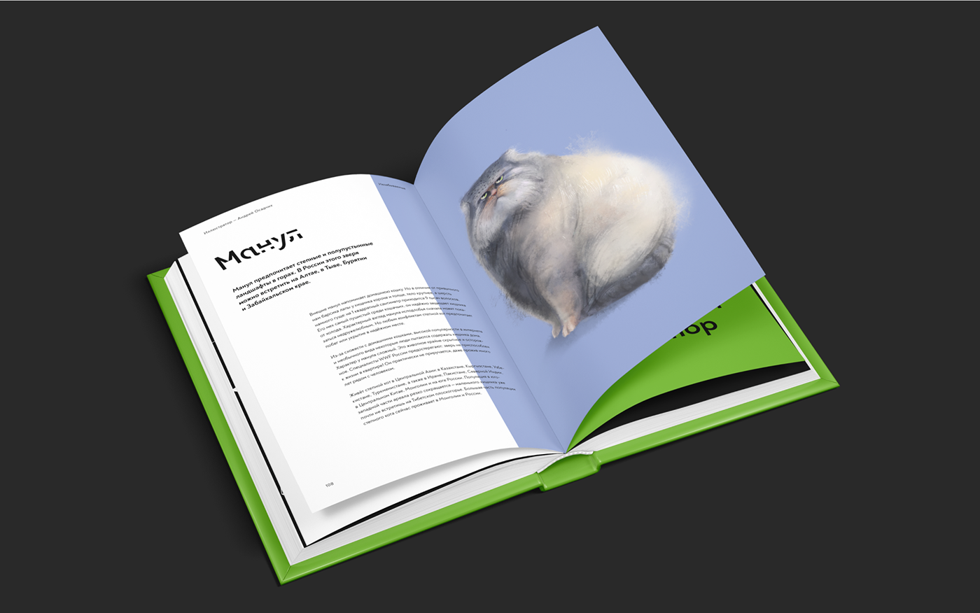 book design typography   graphic design  ILLUSTRATION  Illustrator Adobe Portfolio adobe illustrator