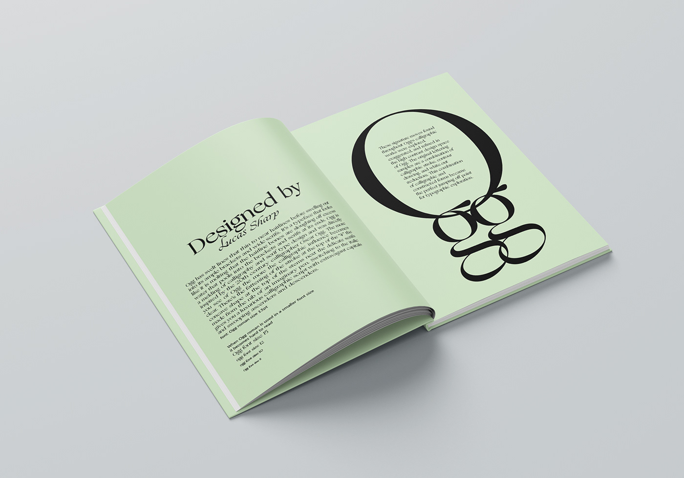 book booklet design cover design graphicdesign InDesign Layout typography  