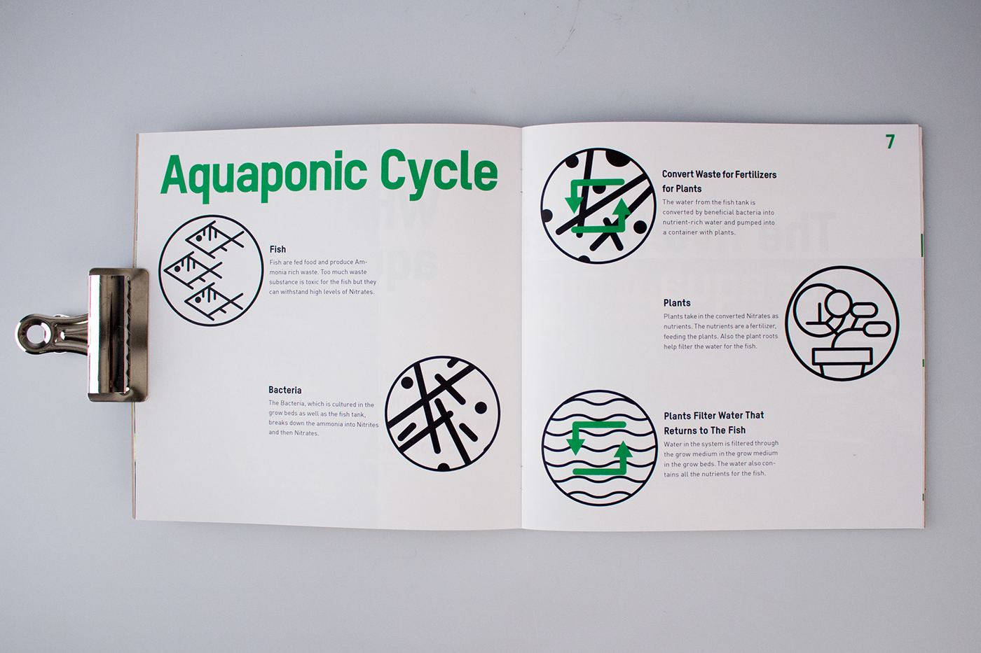 aquaponics hydroponics Booklet farming adobeawards aquarium Hipster typography   product design 