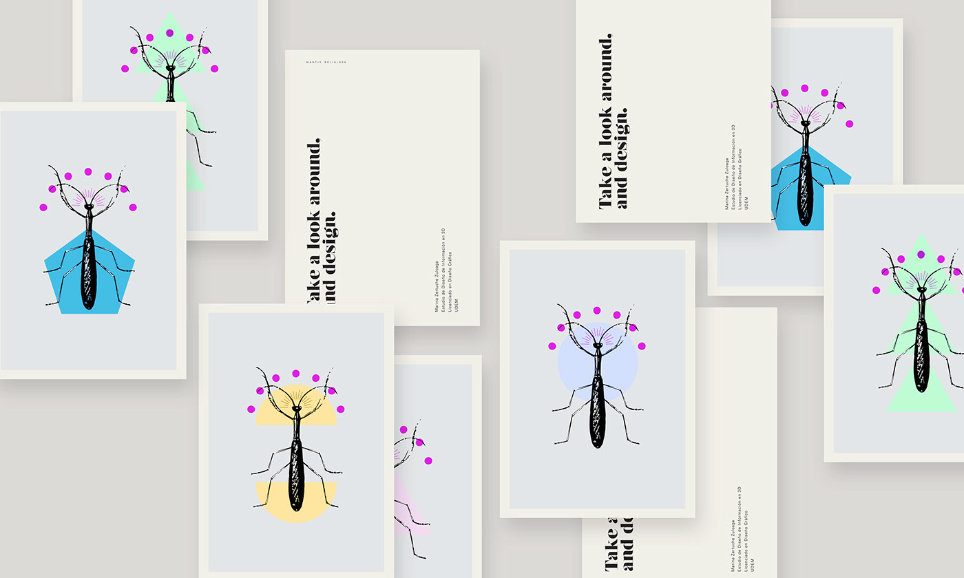 postcard postcard design mantis School Project postcard system editorial Icon insect insect icon udem