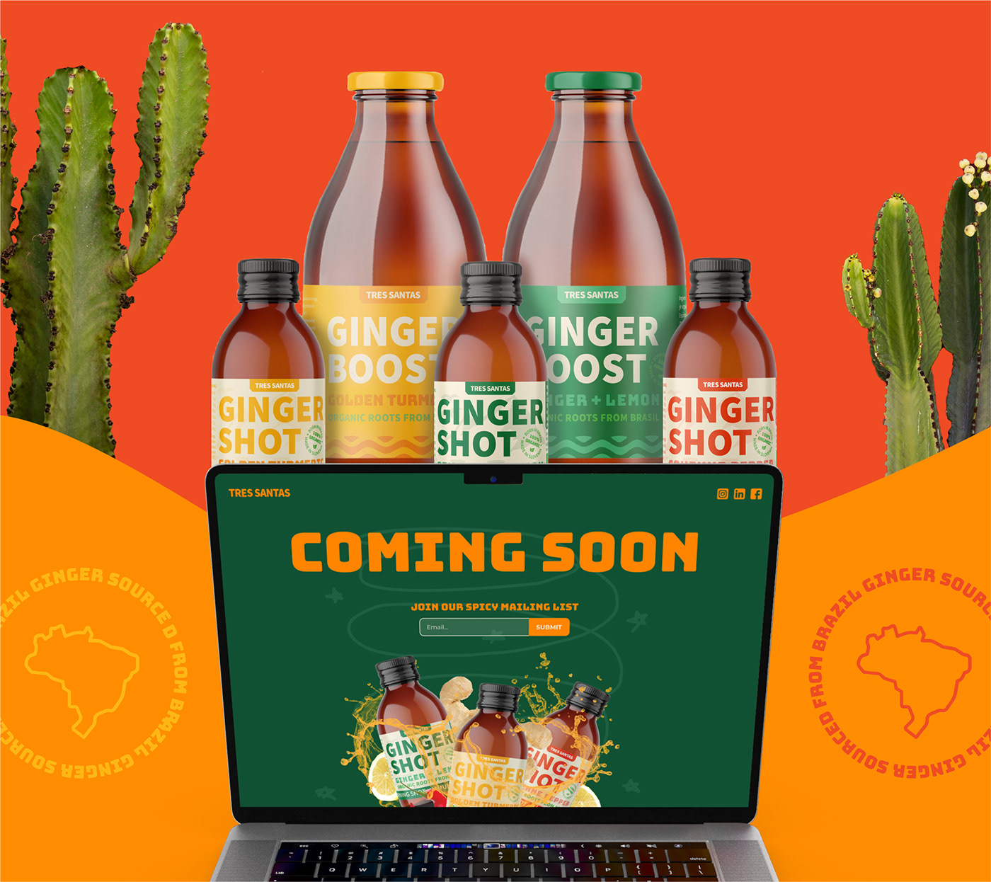 ginger shots Health FMCG lemon Brazil lifestyle drinks funky Colourful  functional drinks