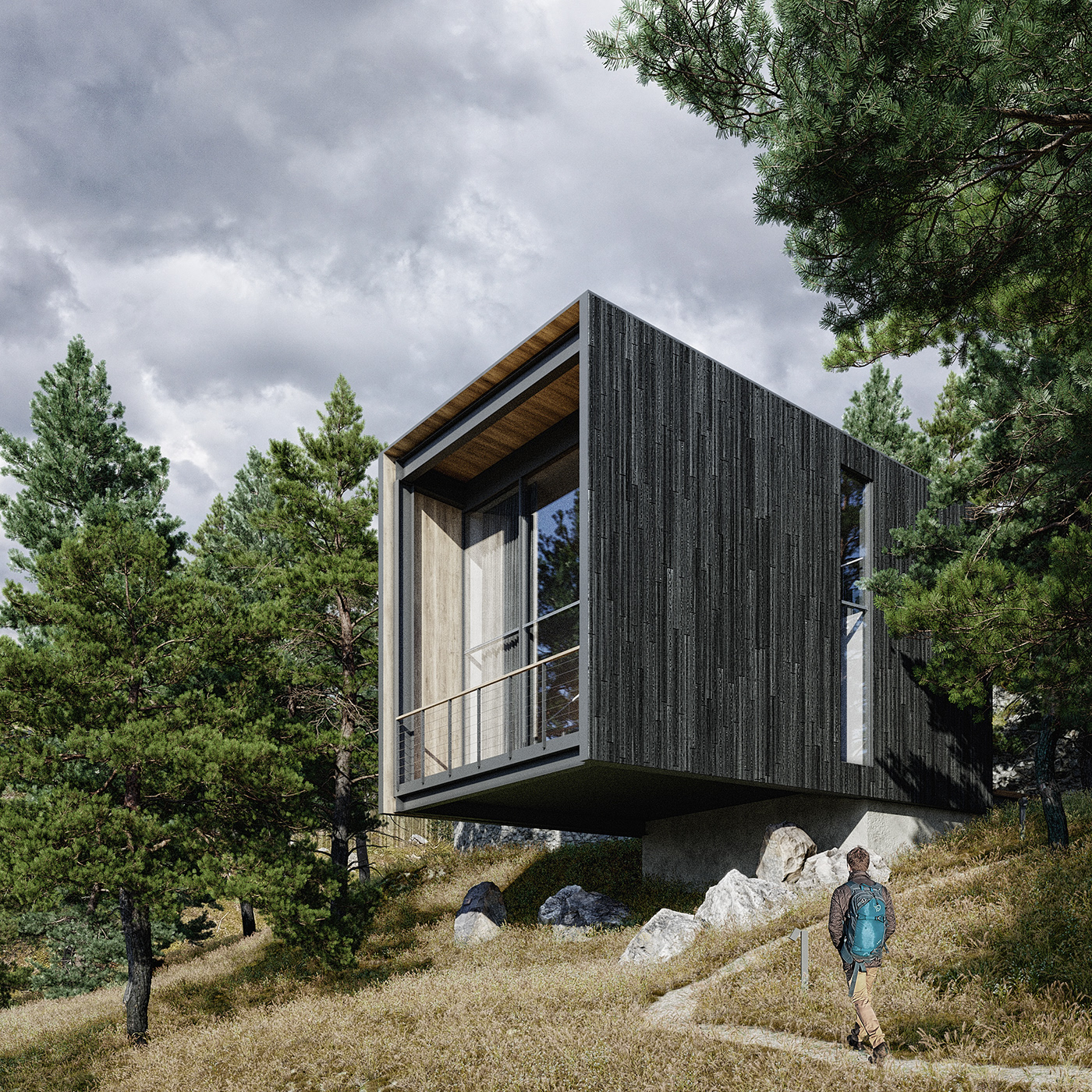 arch architecture Black Wood camping crimea forest cabin HOUSE DESIGN Metal frame Modern Design Дом в лесу