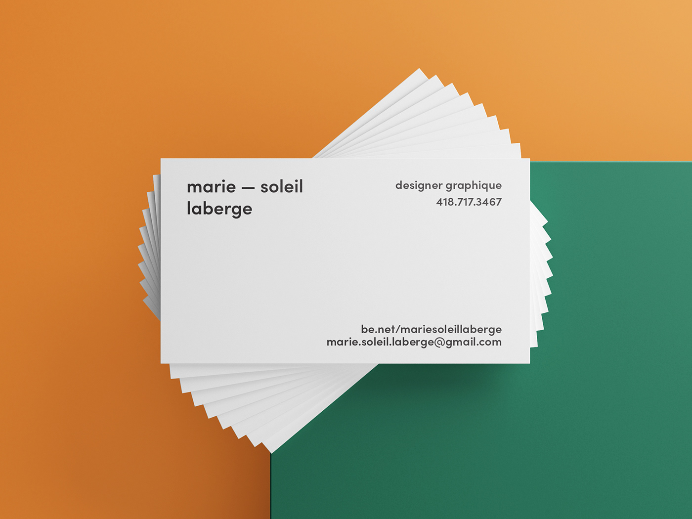 branding  visual identity logo Illustrator Business Cards design graphic modern typography  