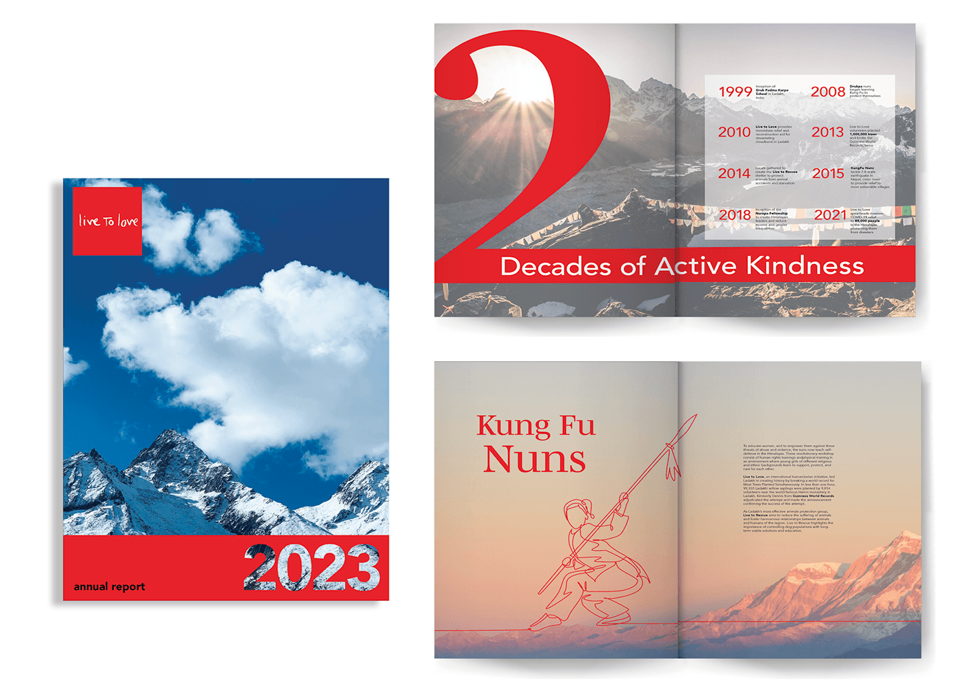 Annual Report Design Layout editorial design  magazine editorial print Graphic Designer visual identity marketing   Advertising 