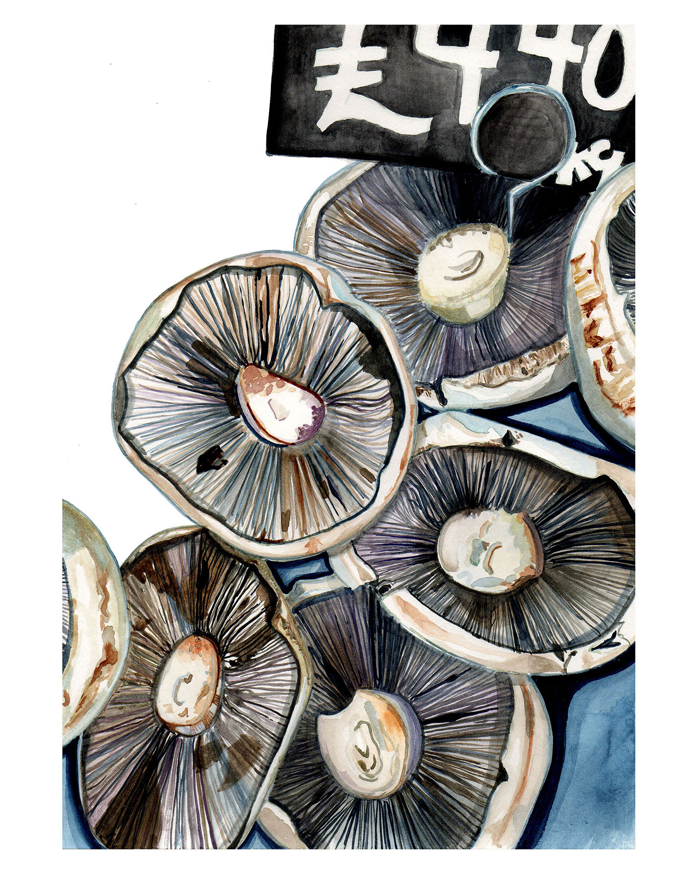Food  watercolour Mushrooms portobello