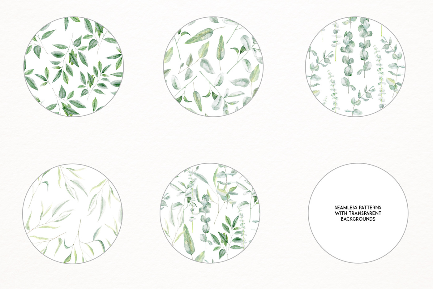 botanic clipart creativemarket eucalyptus green handpainted illustrations pattern summer watercolor