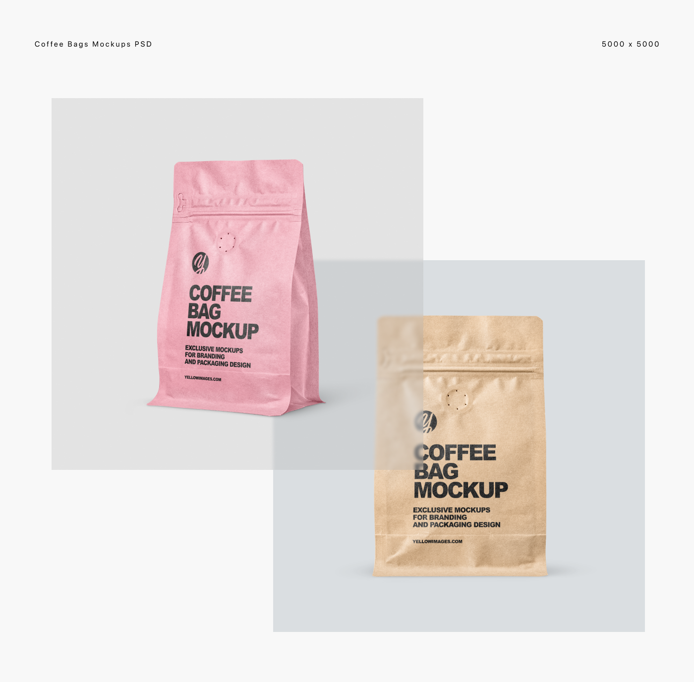 3D Coffee coffee bag label design Mockup package Packaging packaging design Stand-up Pouch visualization