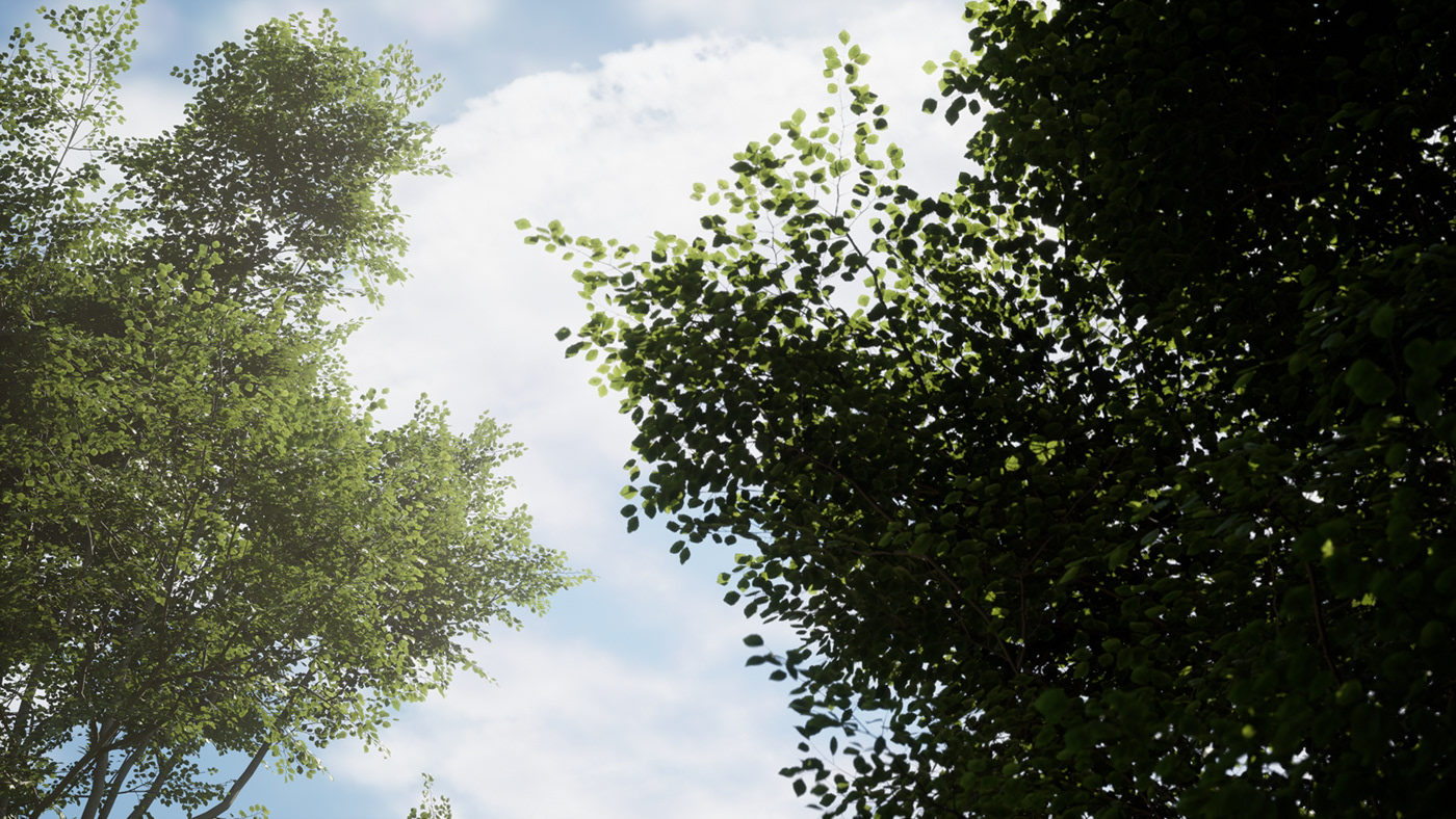 forest jungle Landscape mega scan Render Unreal Unreal Engine 5