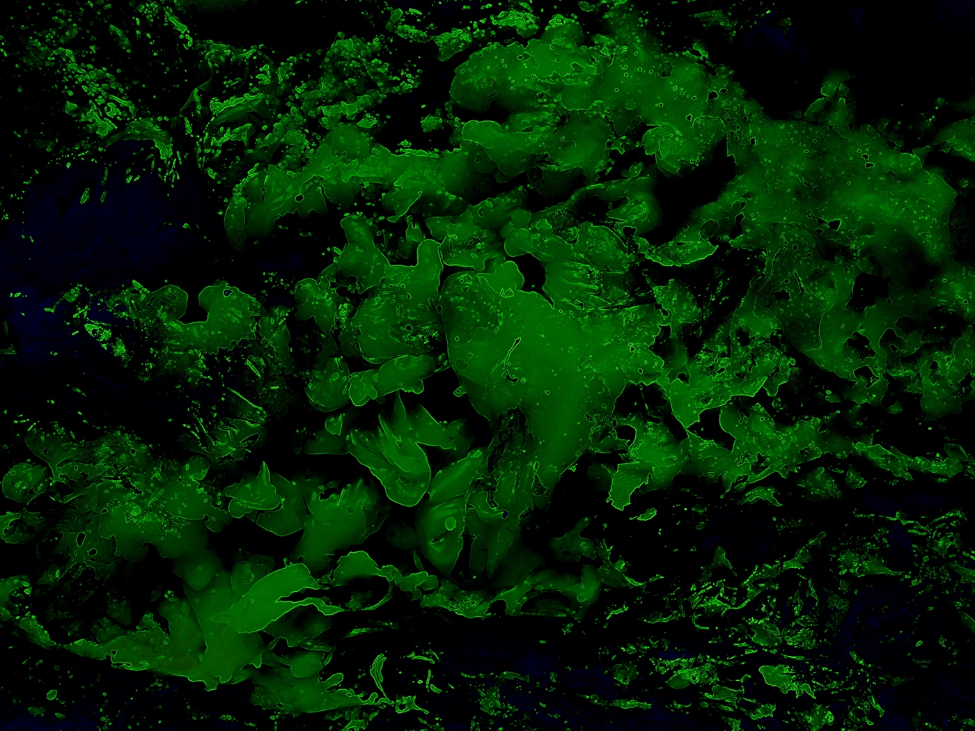 texture environment alien psychedelic psychedelia Space  cavern digital glass organic