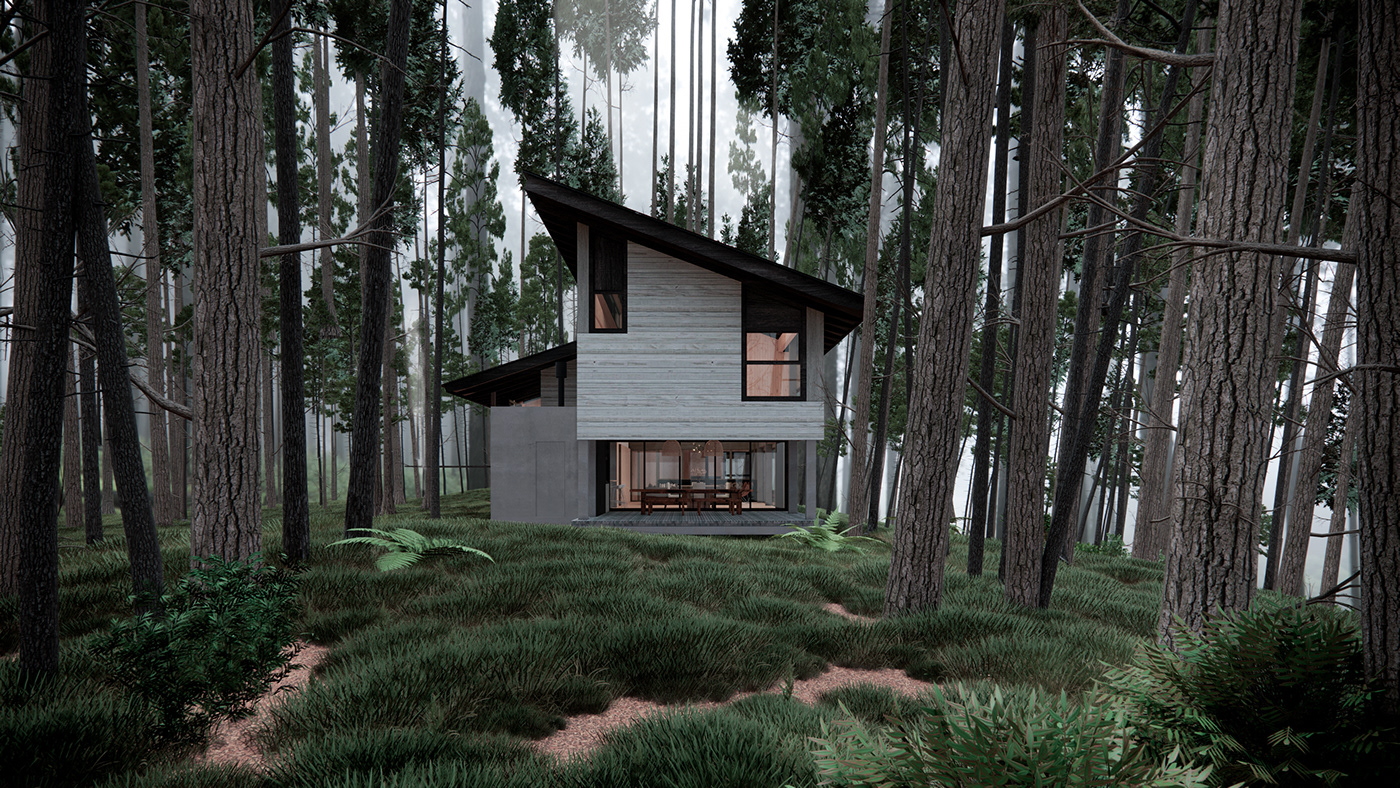 Render house nightrender forest visualisation architecture Project