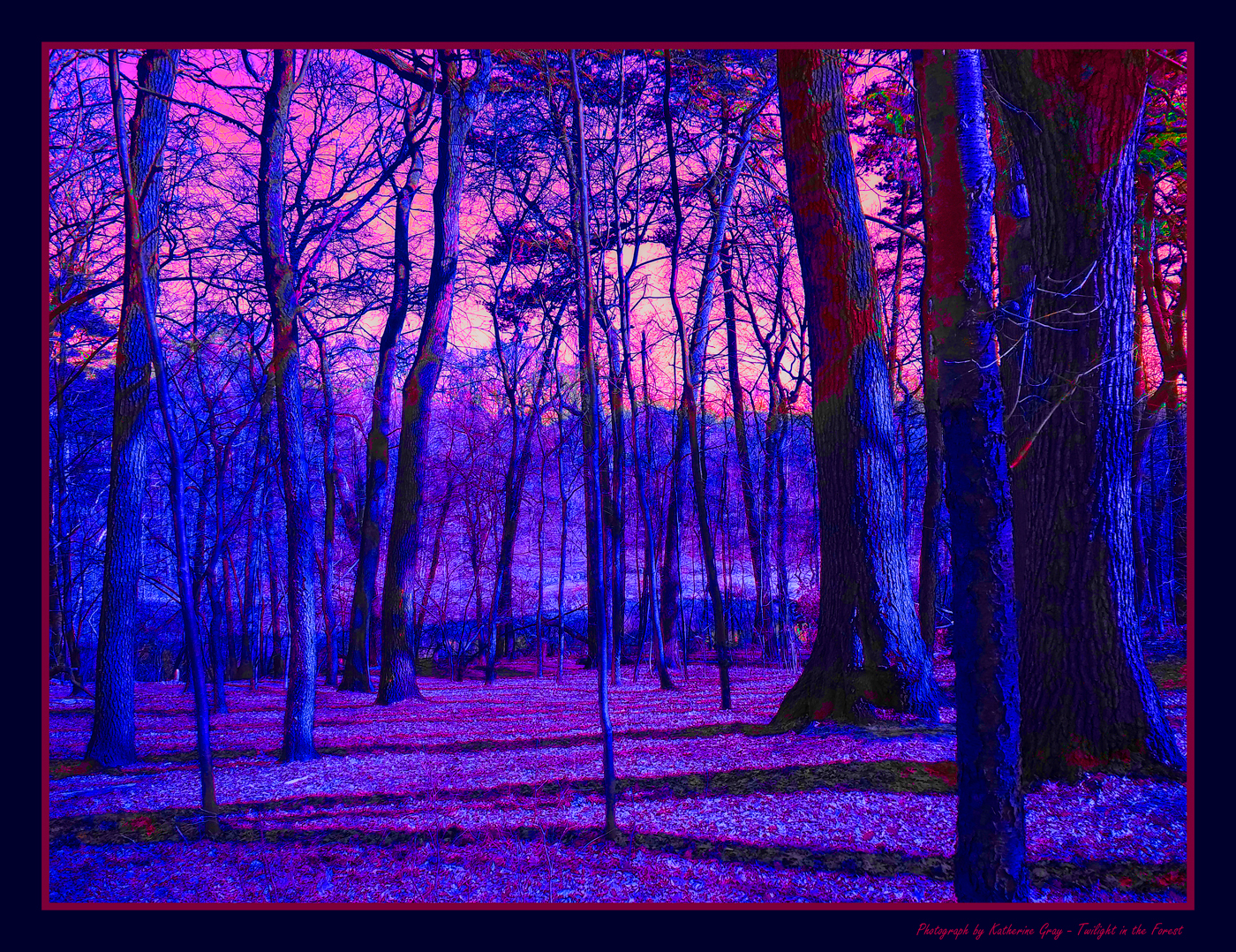 forest opalescent Landscape colorful dramatic trees sunset twilight shadow psychedelic