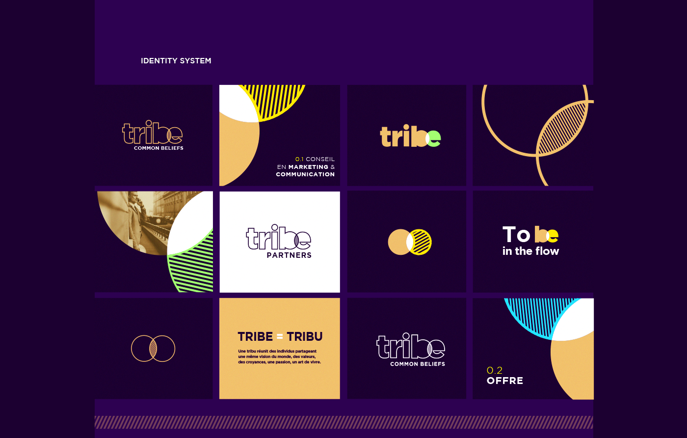 tribe branding  strategy identité visuelle visual identity brand identity brand logo شعار هوية بصرية