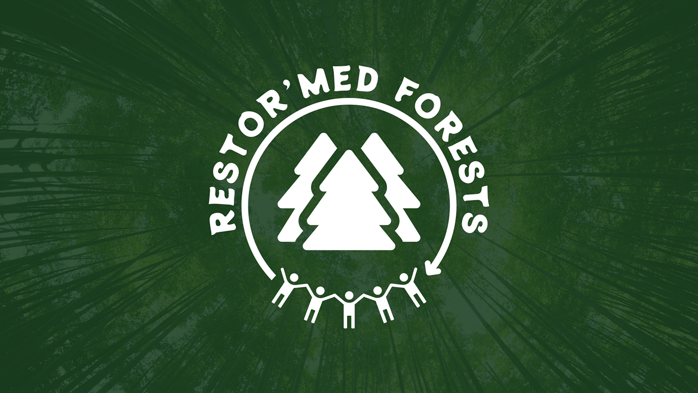 brand charity forest logo