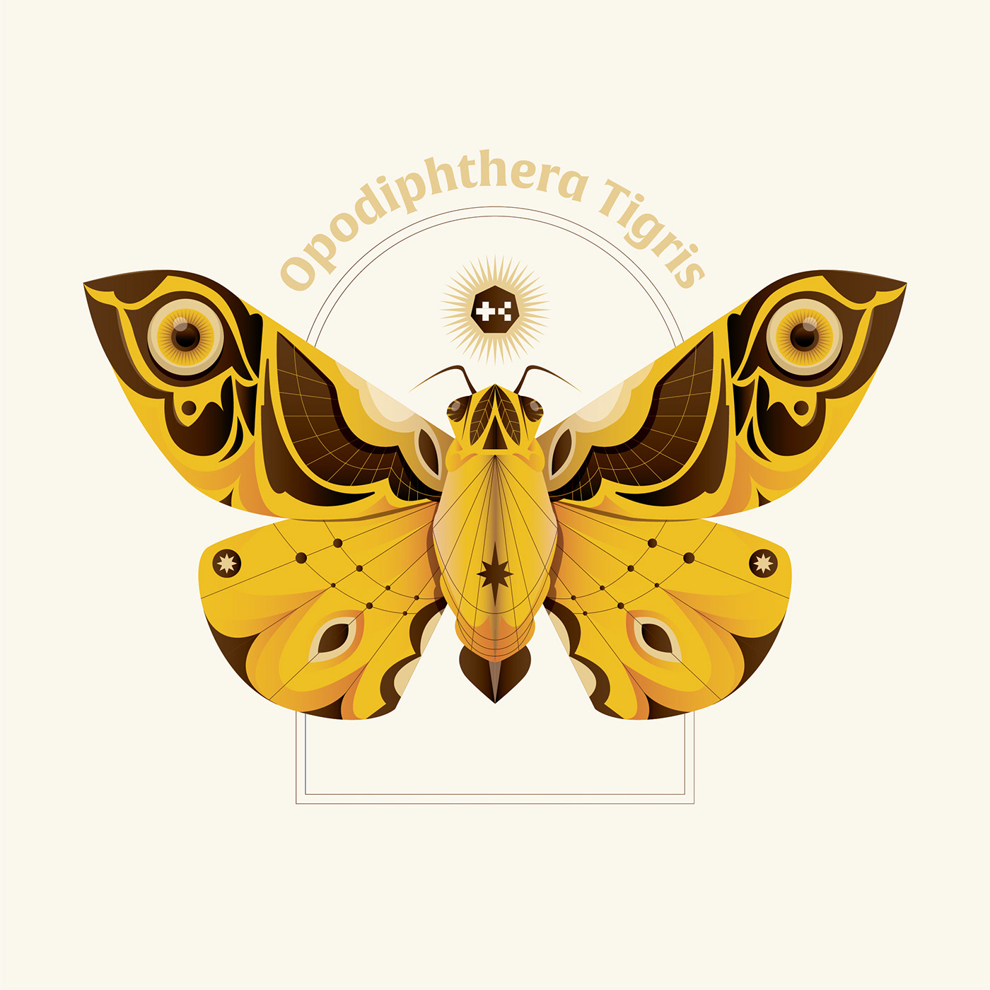 animal butterfly eye flower ILLUSTRATION  indonesia moth symmetry tattoo tiger