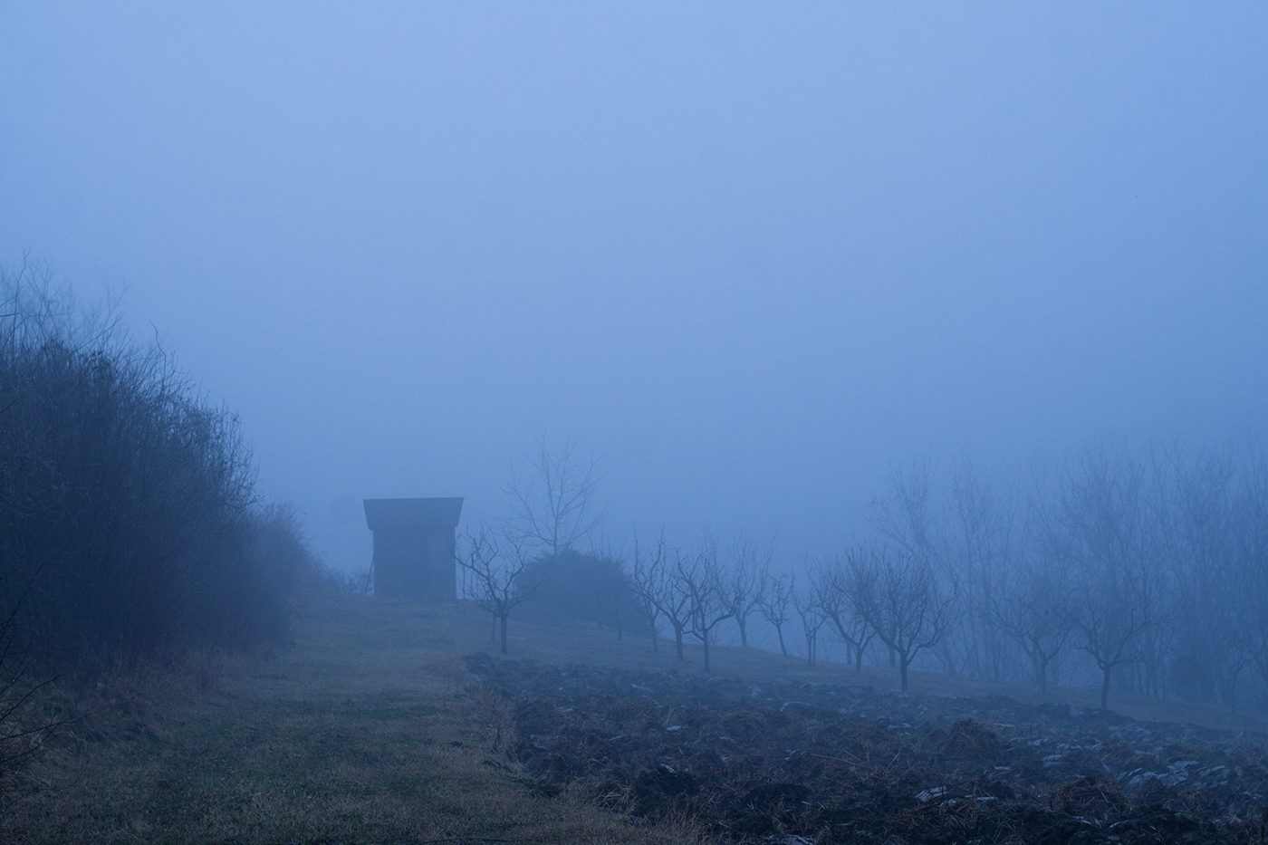 Landscape fog mist Nature village rural fields Meadows vineyard portrait friend