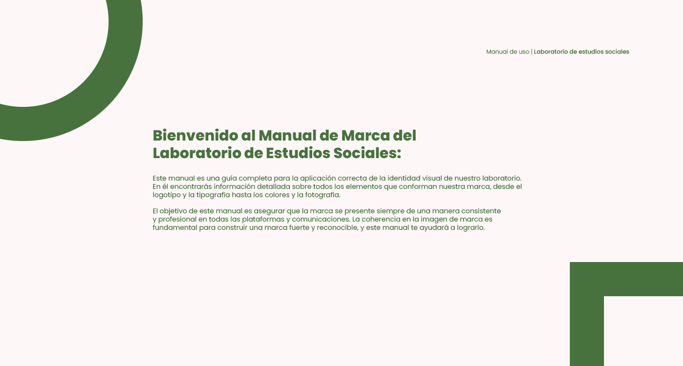 Manual de Marca branding  design logo identity PUCP peru diseño