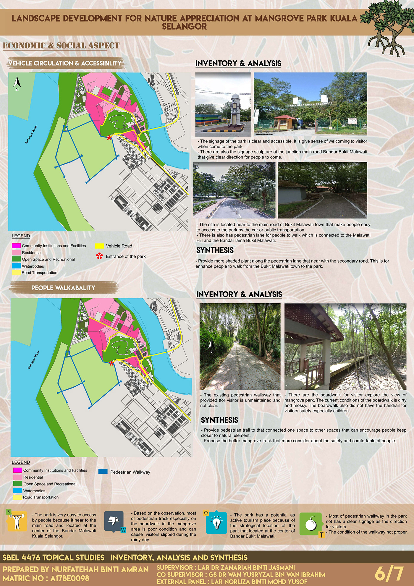 Final year Project CONSERVATION MANGROVE