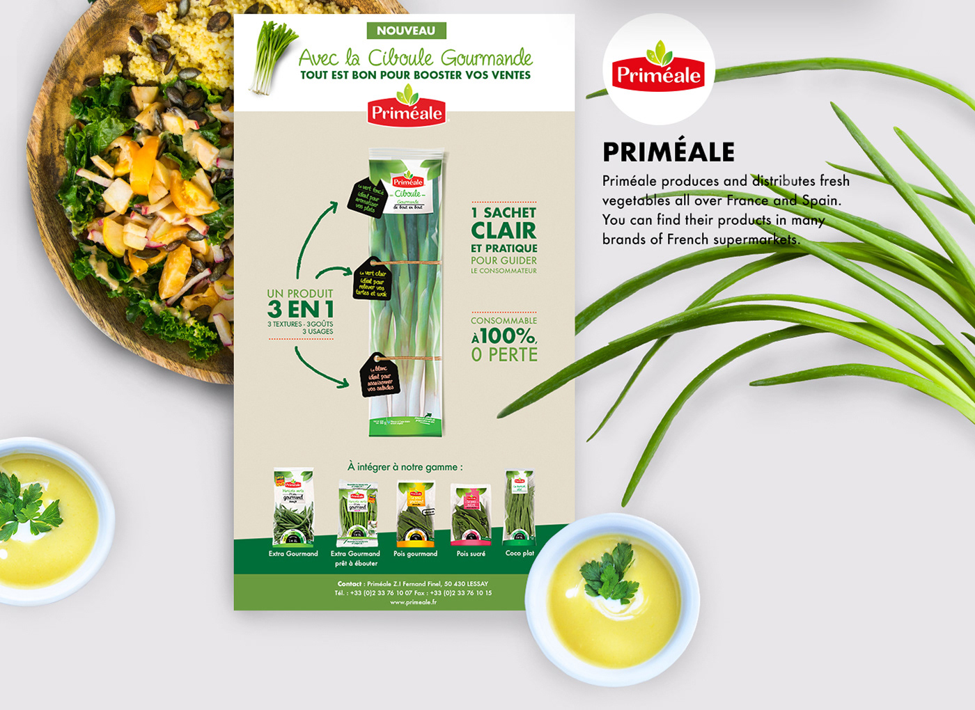 Web newsletter Website design graphic art Food  vegetables brand modern