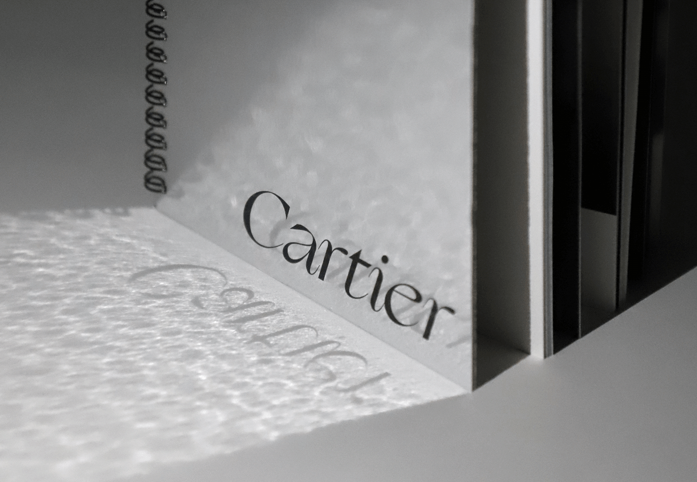 book book cover Cartier diseño gráfico editorial editorial design  jewelry Layout Design Photography  typography  