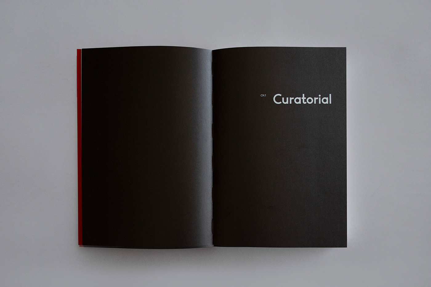 art book editorial graphic design  Layout magazine museum print