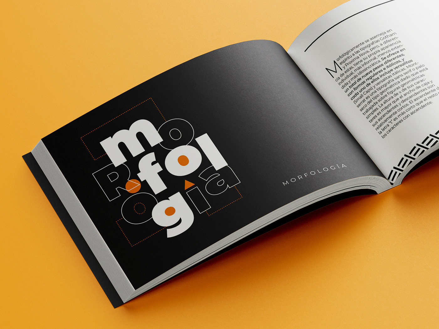 typography   typography design tipografia Diseño editorial editorial design  typography book Revista Tipografica diseño gráfico diseño tipografico