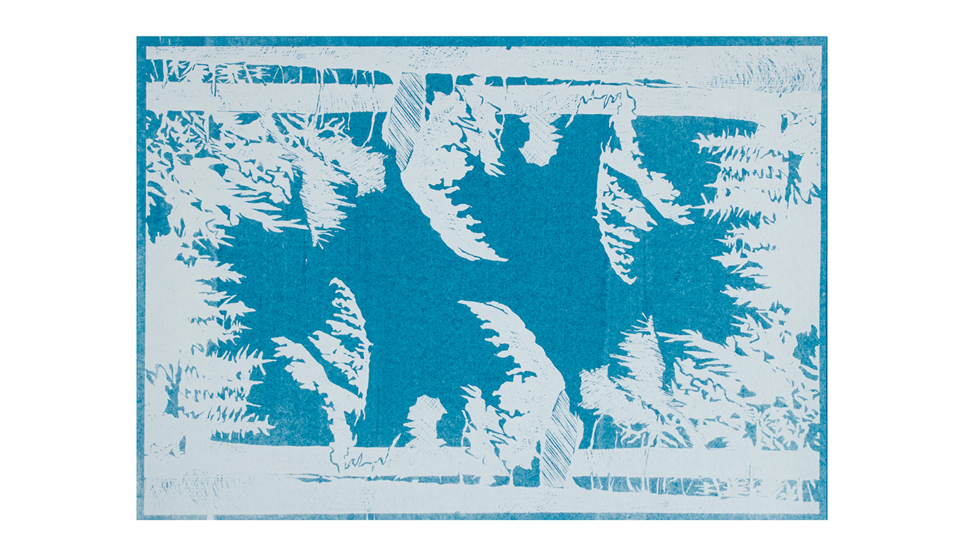 book editorial print oldphoto Blueprint cyanotype alternative process analog leporello