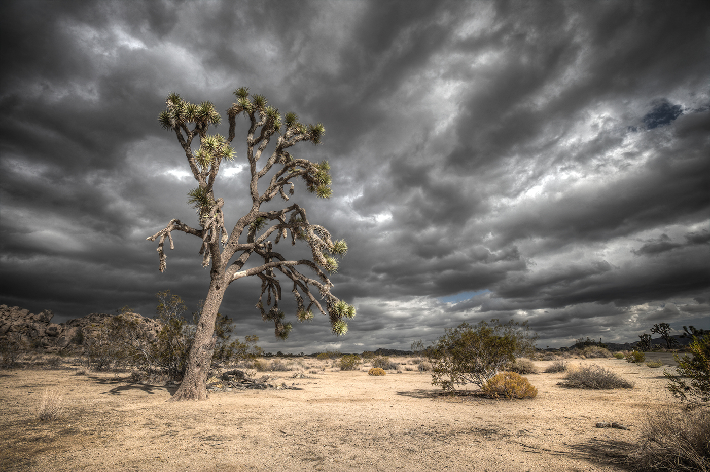 HDRI cloudy stormy Sunny desert trees sand backplate gravel rural