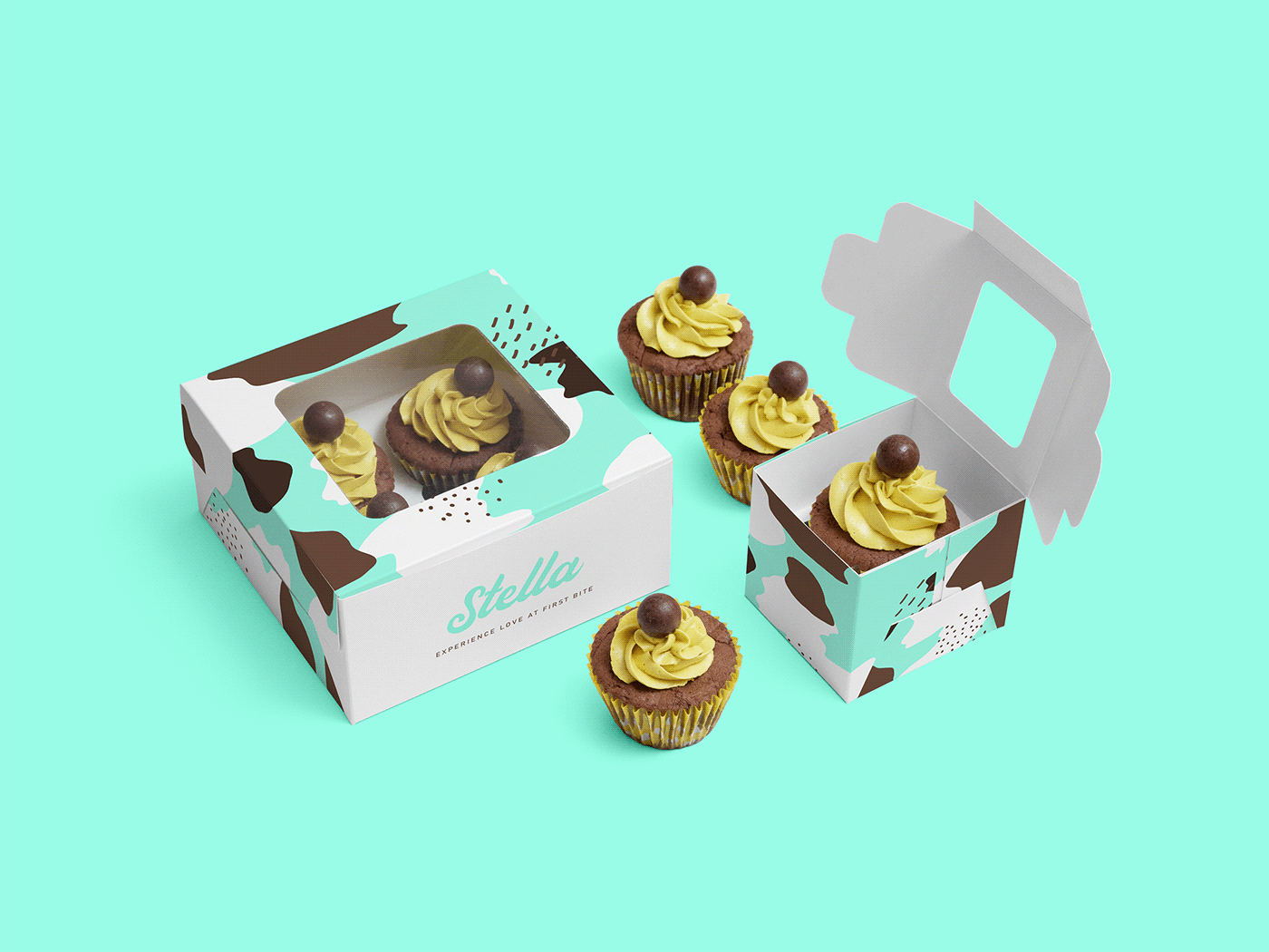 branding Coffee Stella Website logo Packaging brand coffee shop hdkatarina iced coffee