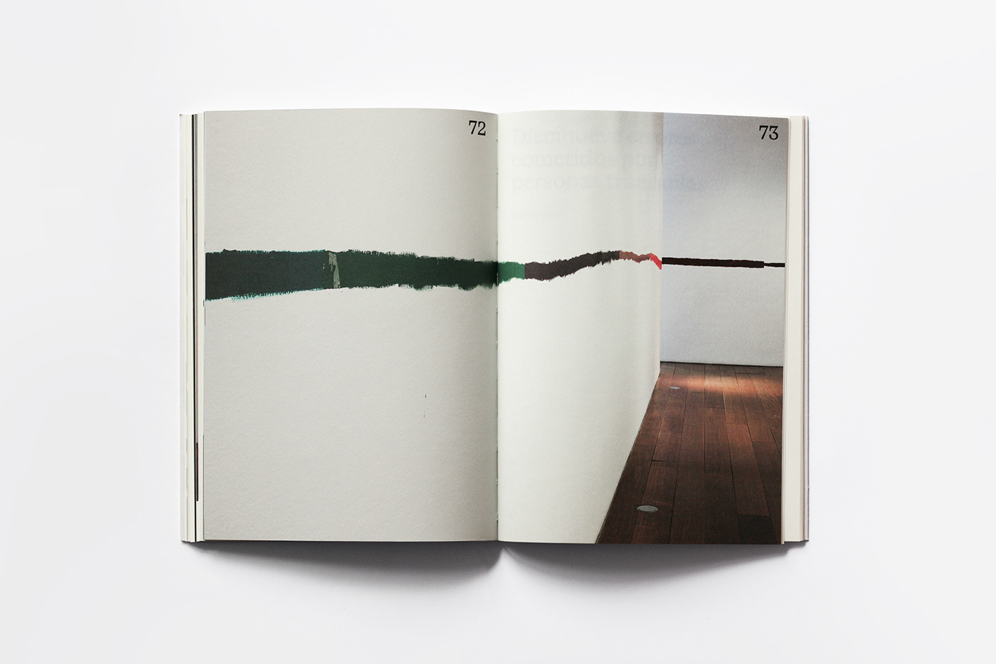 art Catalogue book cover design embossed Colour blindness contemporary art painting   artist artwork
