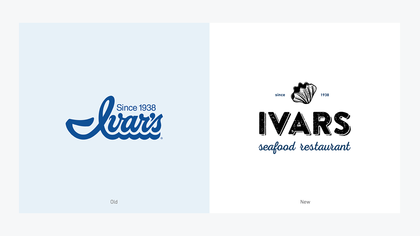 branding  logo identity package typography   Webdesign interactive