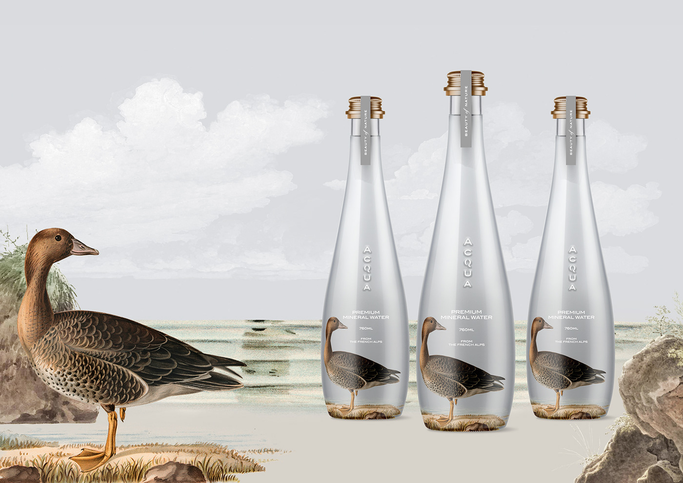 bottle branding  classy duck graphicdesign ILLUSTRATION  modern simple system