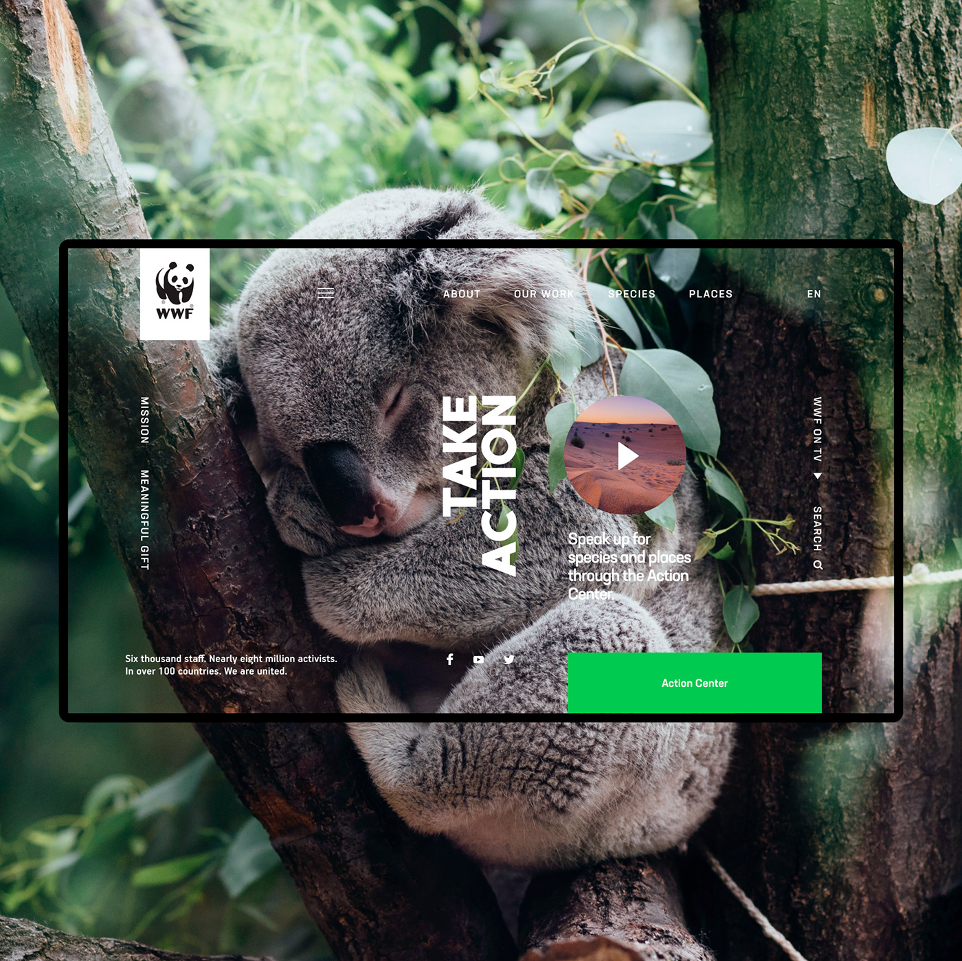 UI ux Nature concept WWF Webdesign animals