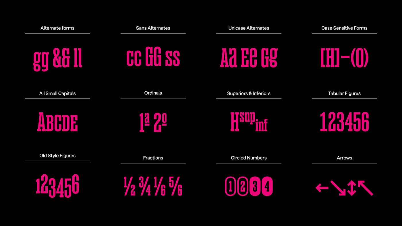 corporate design editorial font sans sans serif type typedesign Typeface typography  