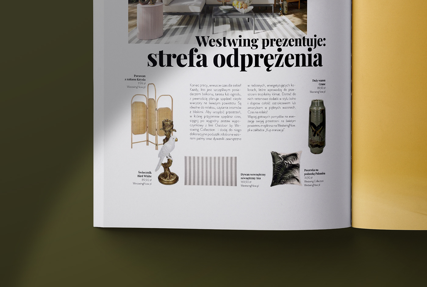 magazines press print newspaper advertorial magazine furniture Interior ads Advertising 