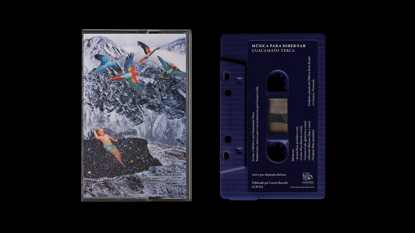 Album artwork cassette collage cover Cover Art music music art surreal vinyl