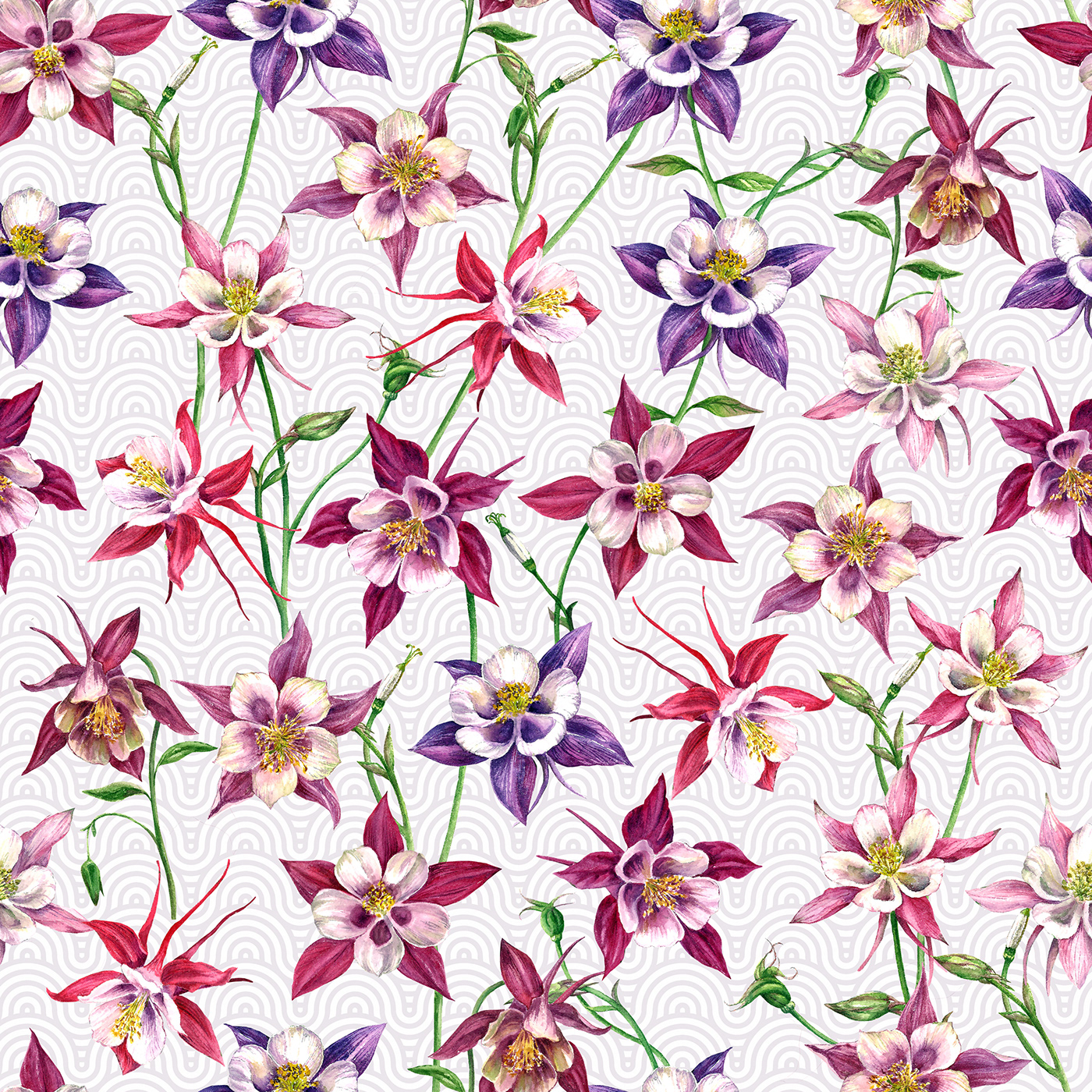 botanical columbine flowers floral Flowers painting   pattern seamless watercolor
