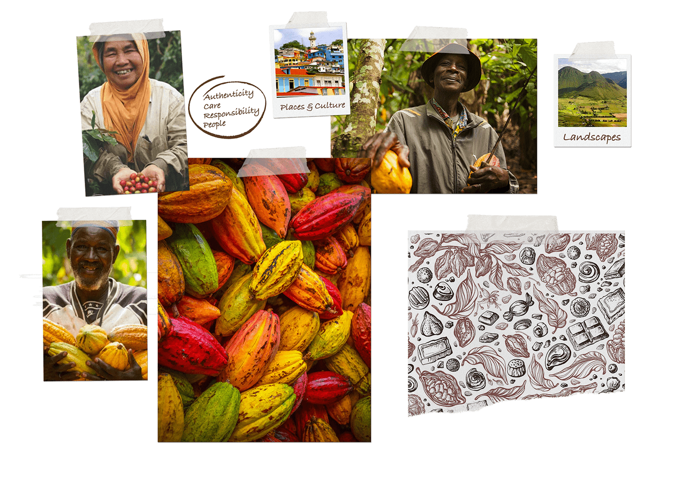chocolate Packaging farmers cocoa beans chocolate packaging Nature organic people bright natural