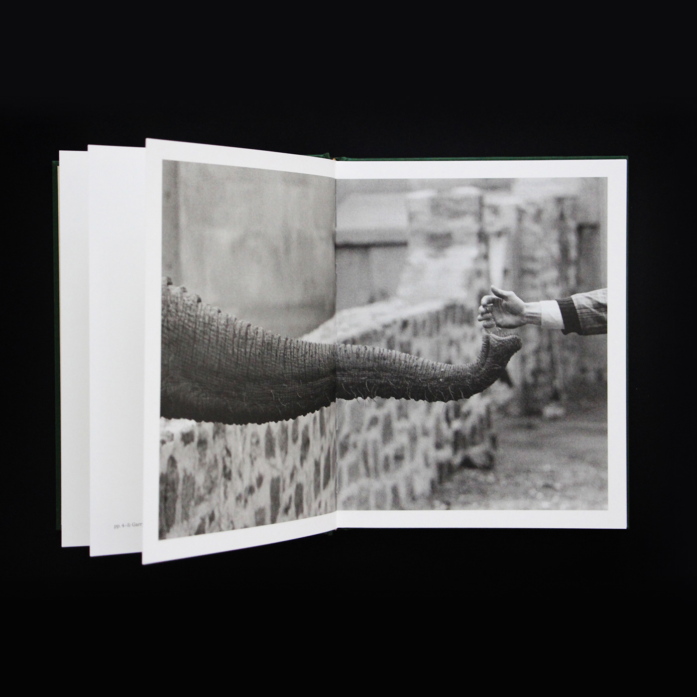 artbook book design cover design editorial design  elephants garry winogrand green photobook Photography 