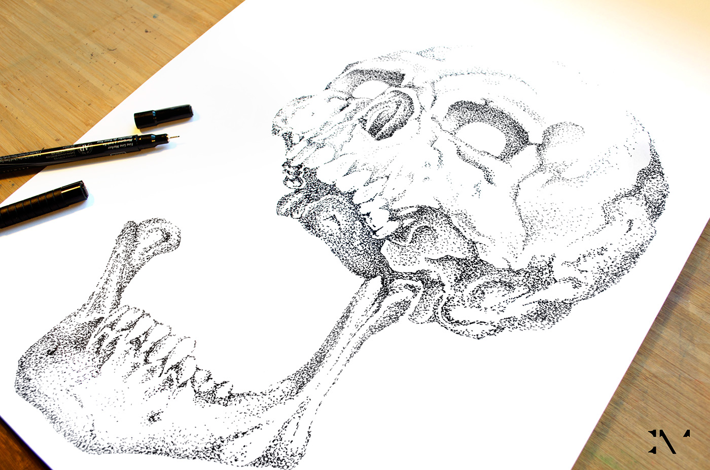 dotwork skull crane Encre dessin bones head ILLUSTRATION 