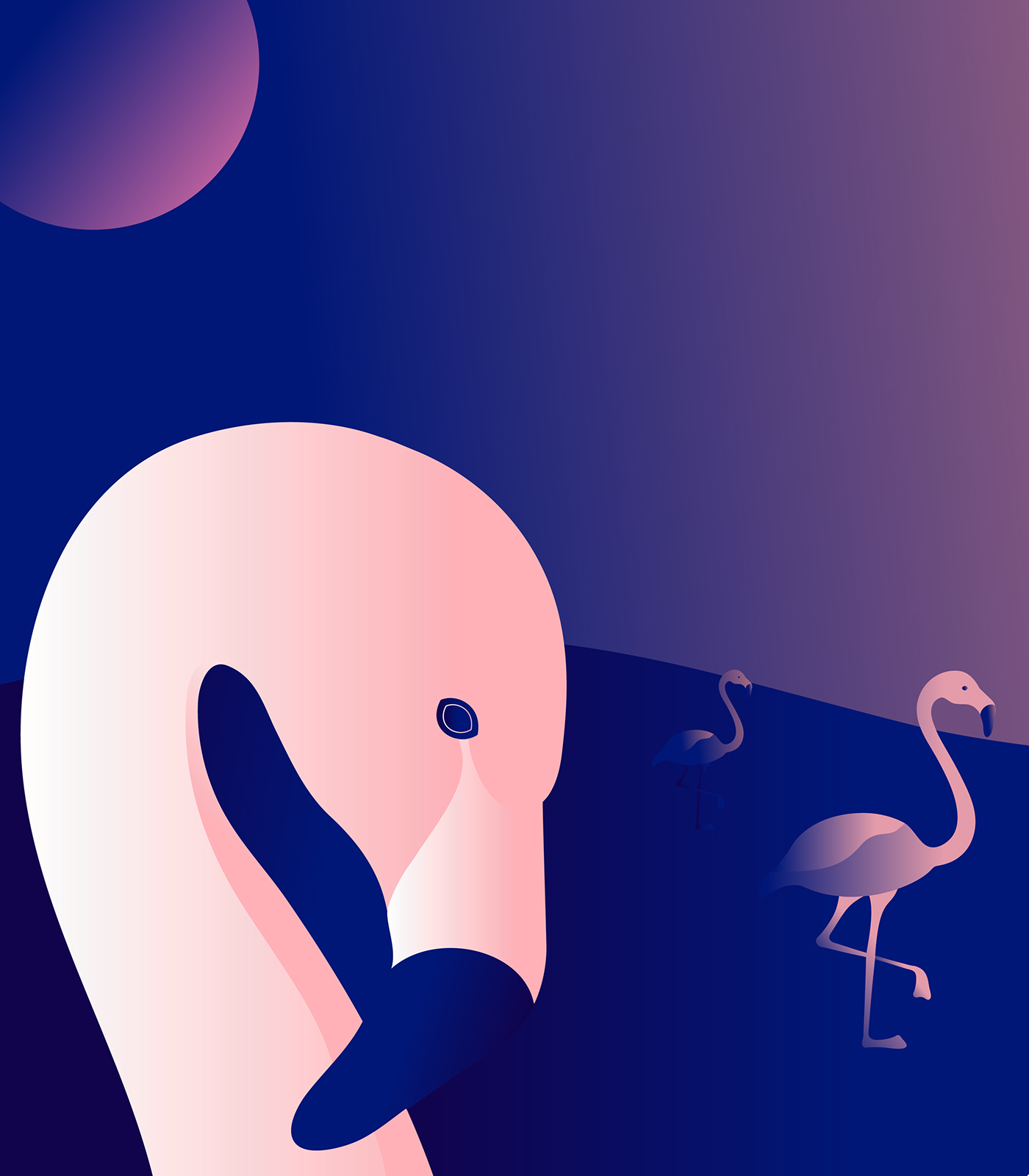 ILLUSTRATION  vector Vectorial flamingo blue pink strasbourg france Illustrator wacom