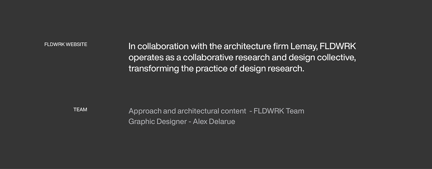 graphic design  Web Design  alex delarue