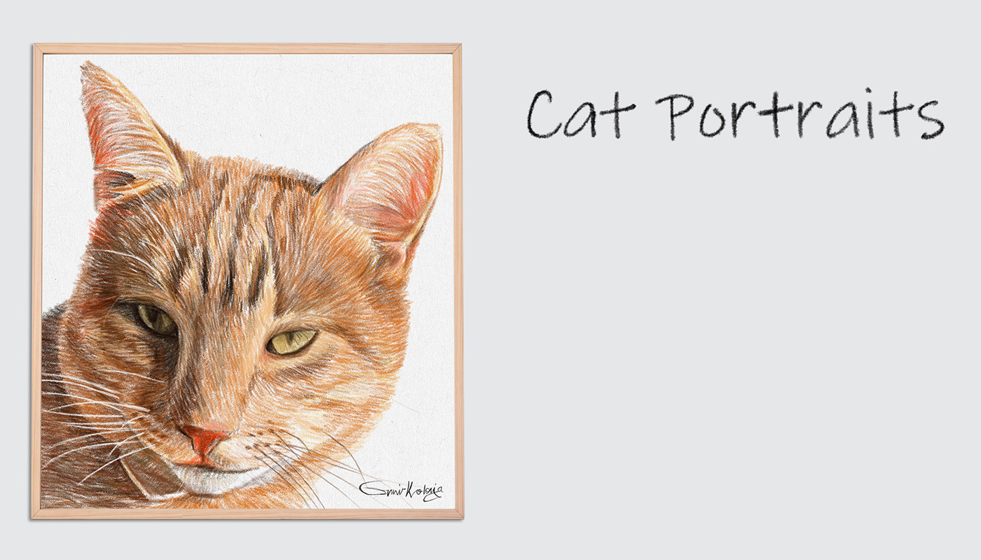 cats color drawing custom cat portrait custom dog portrait custom pet portrait Drawing  Pencil drawing