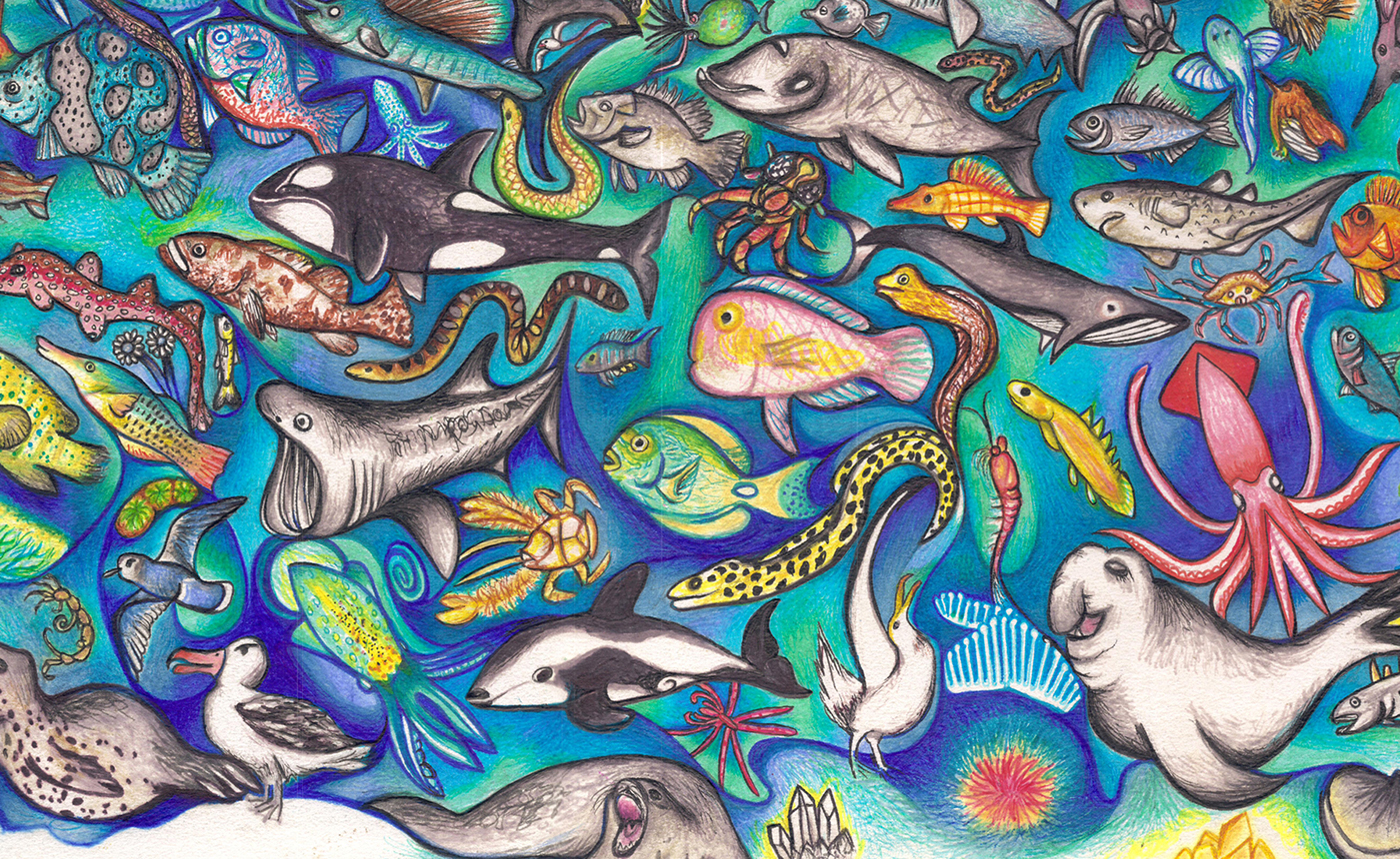 animals ink art earth beauty map Ocean wildlife Love