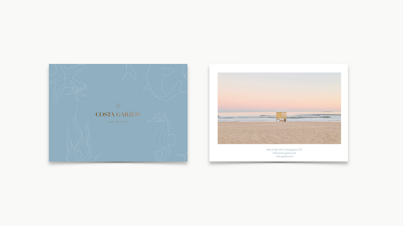 branding  Hospitality design Collateral brochure Web Design 
