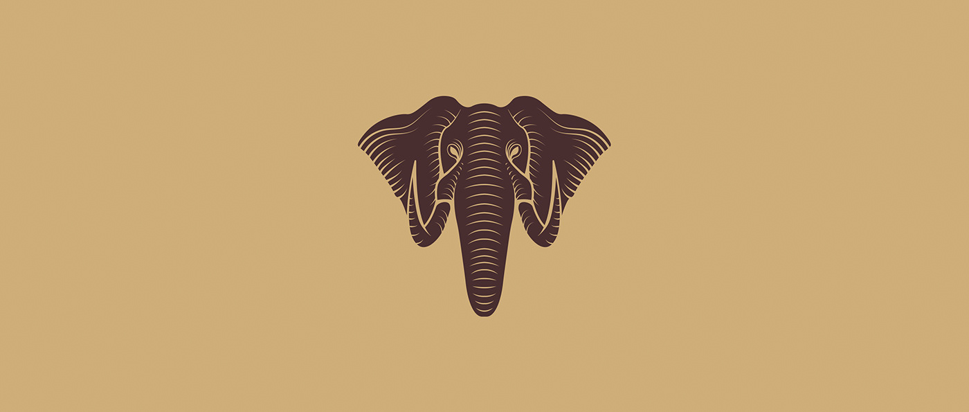 branding  dimension product design  brand Coffee nitro coffee Retro elephant Elephant Brand adobeawards