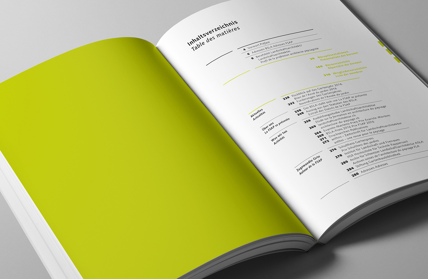 editorial design  book graphic design  architecture