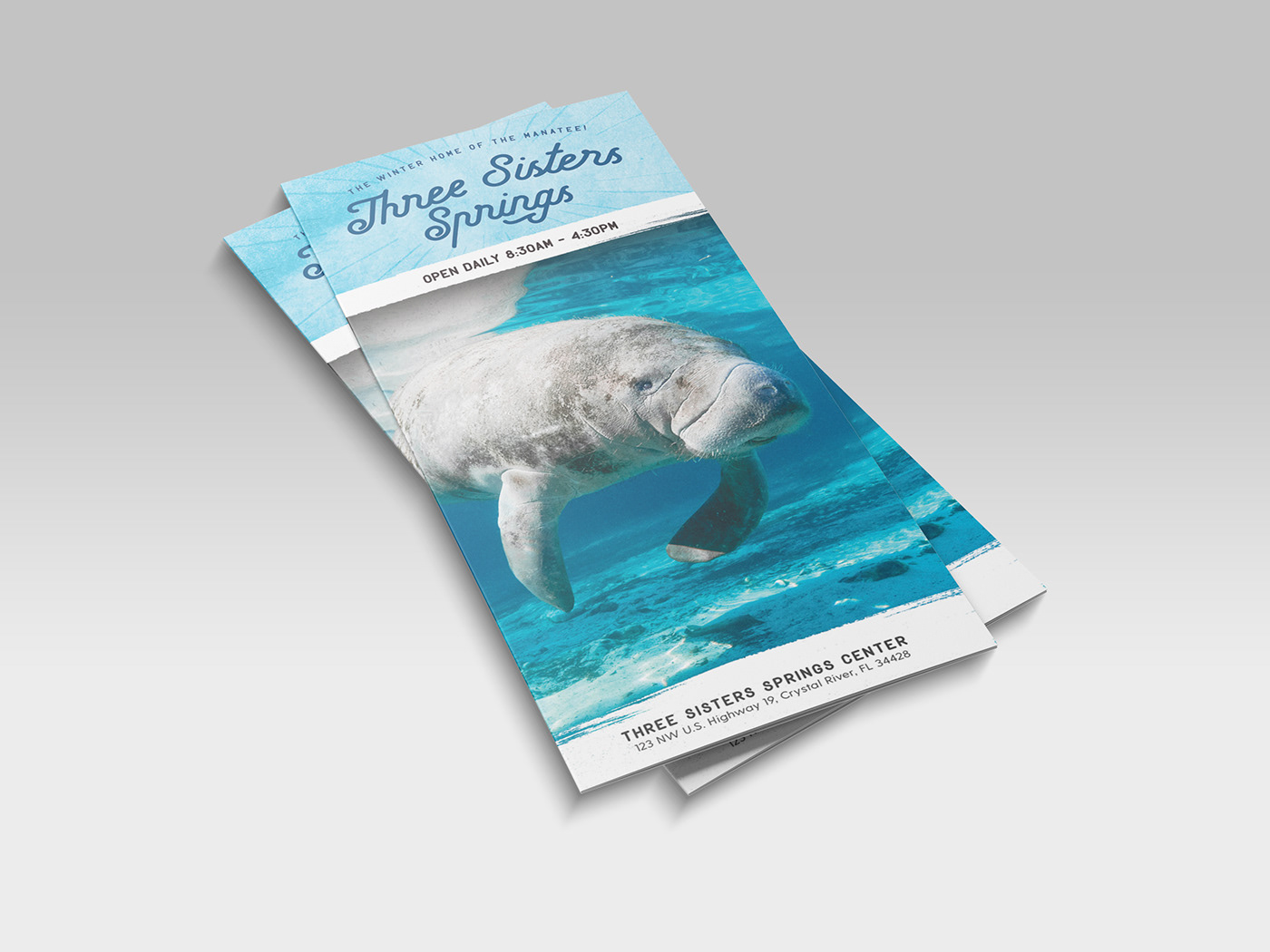 brochure Collateral conservation flyer marketing   tourism visitors wildlife