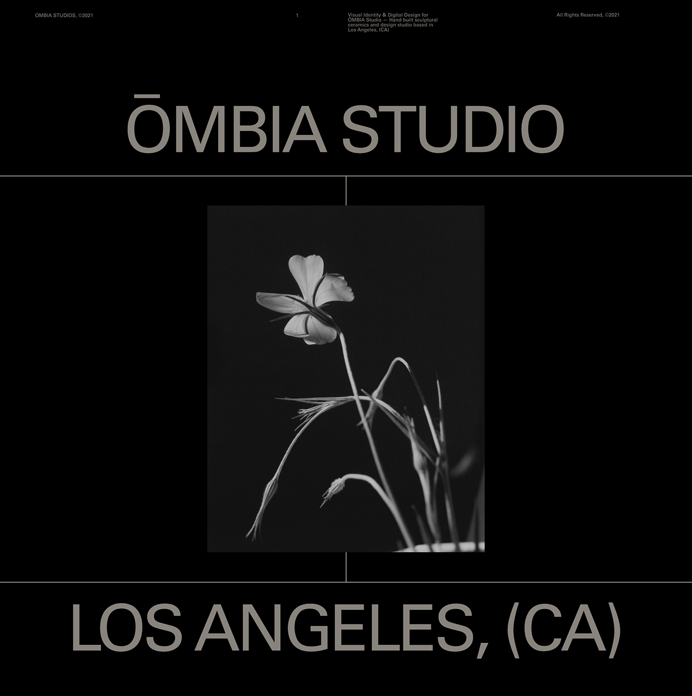 ceramics  Ecommerce Los Angeles motion Ombia Pottery shop studio typography   Website