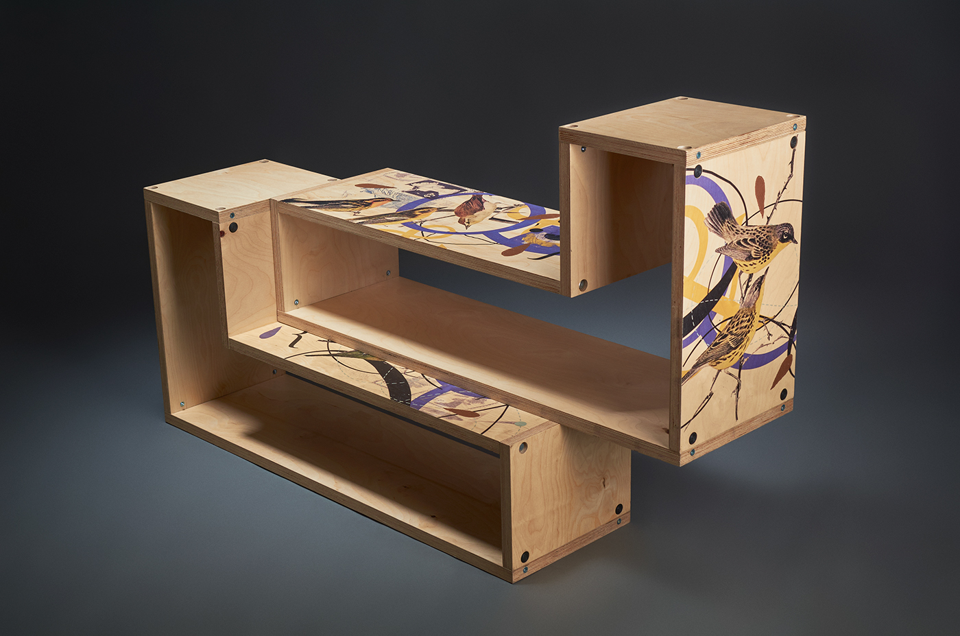 furniture tableplywood ukraine graphics Printing on plywood Ecology modular modular furniture module